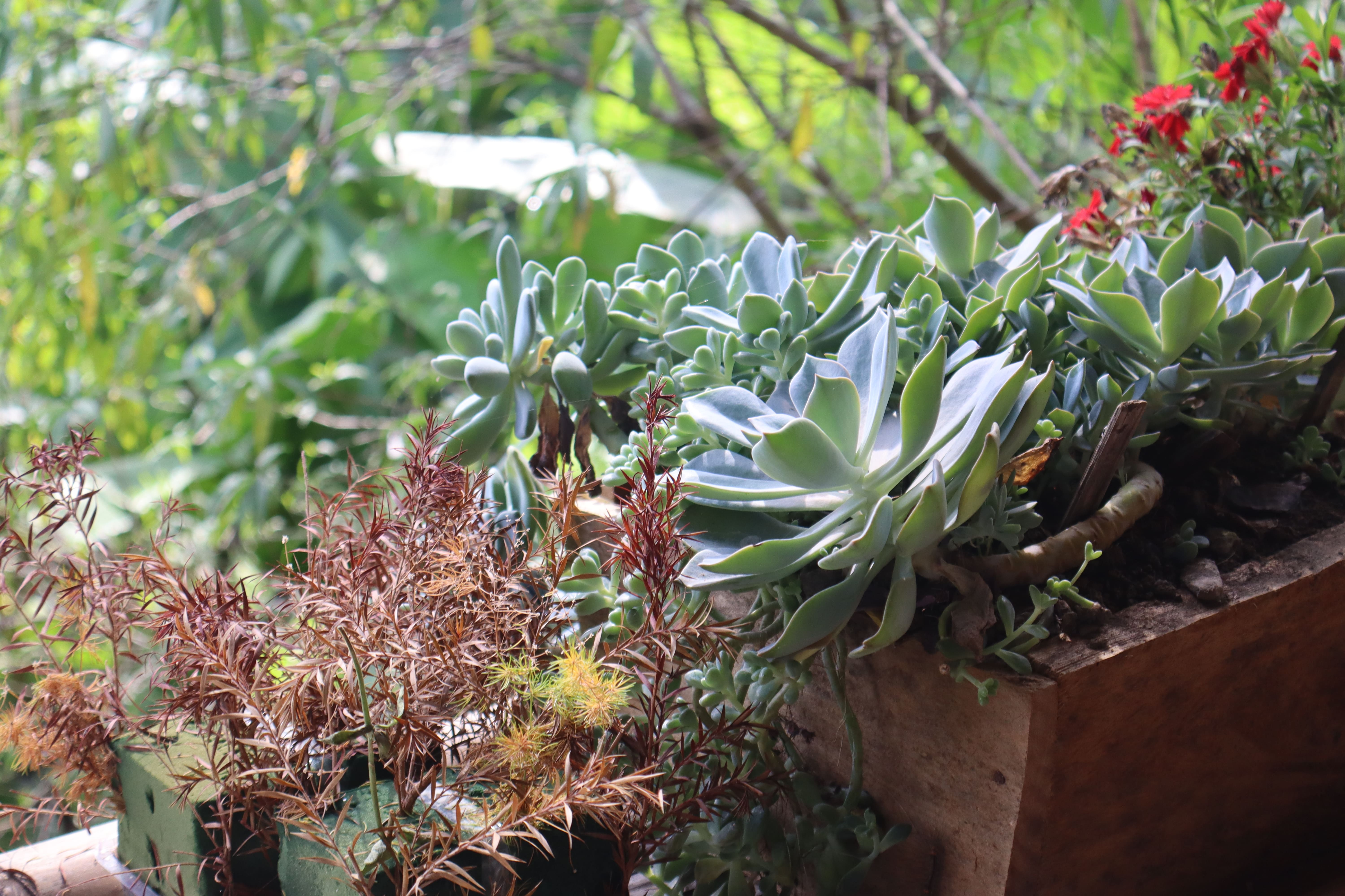 Khuong Thu Homestay 1