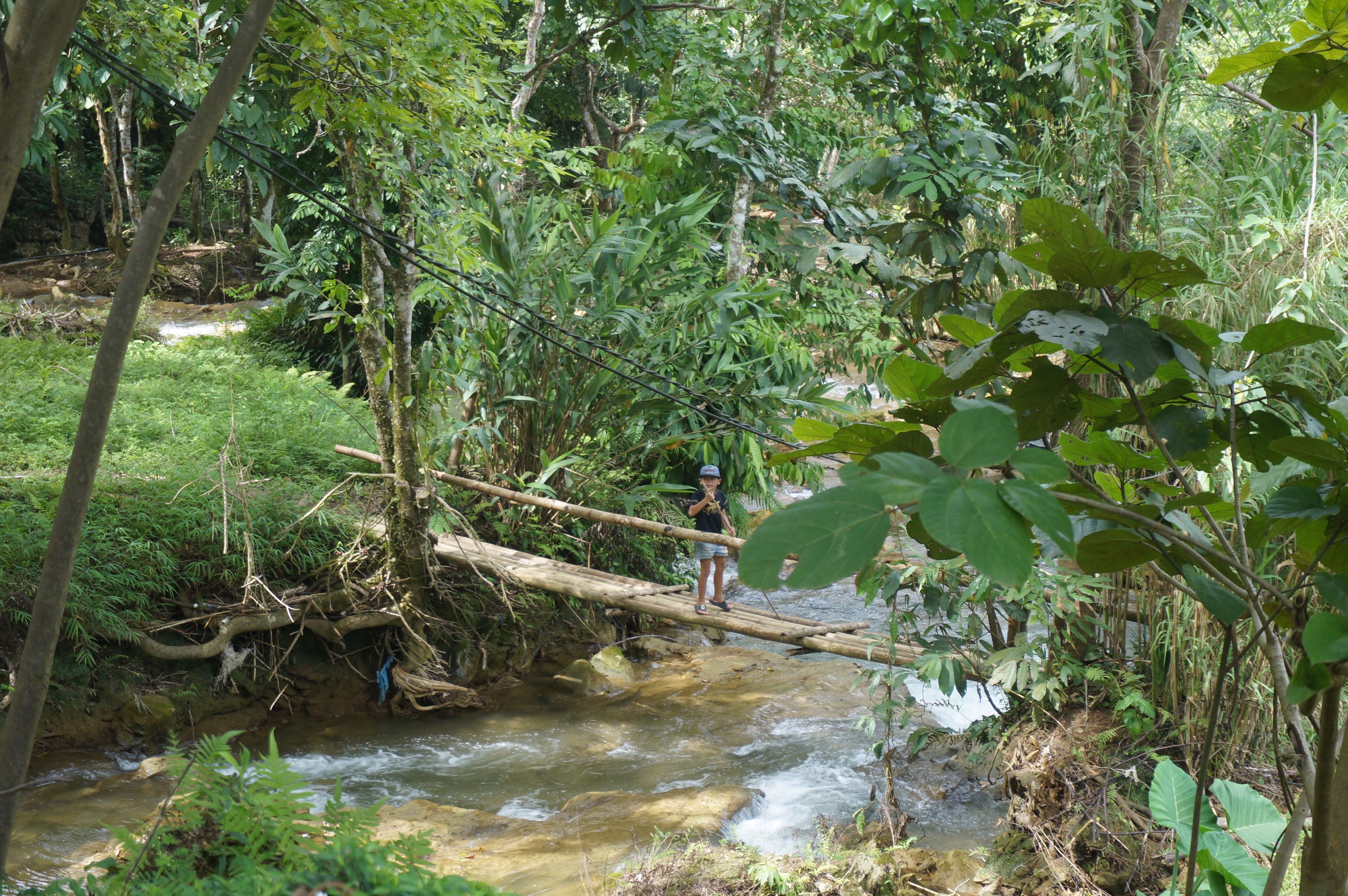 Waterfall Majestic Scenery 4